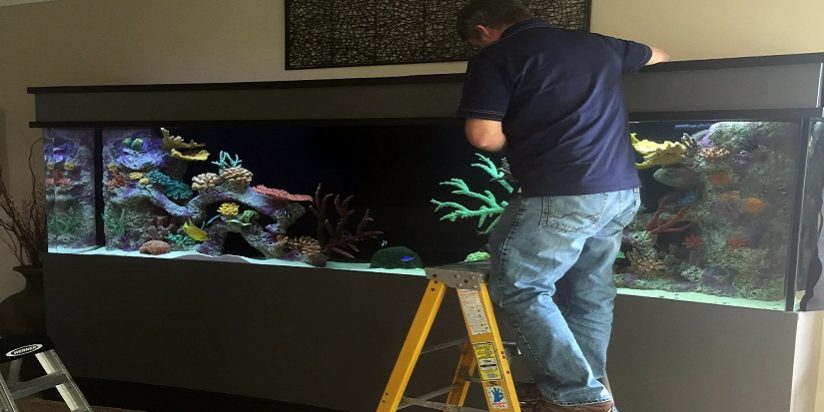 Custom Aquariums