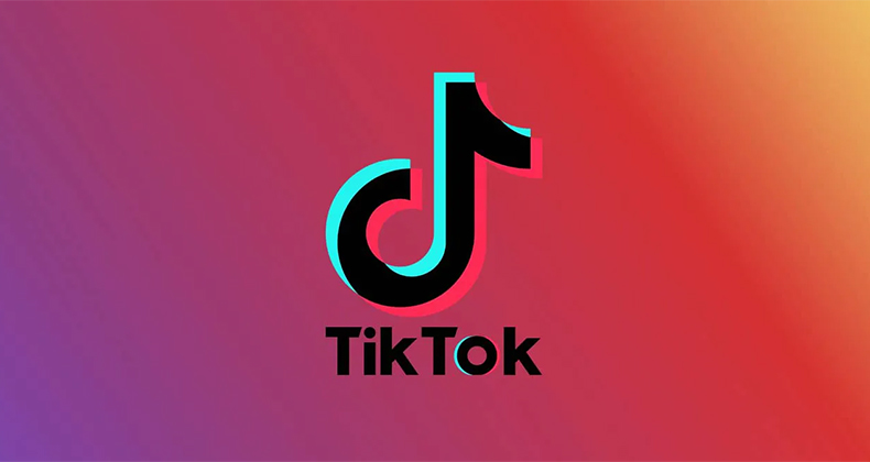 TikTok Video Downloader